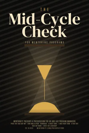 Filmposter van de presentatie: De tussentijdse check van je mentorprogramma