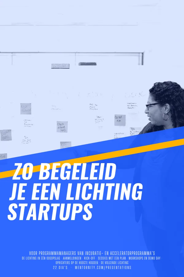 Filmposter voor de presentatie Zo begeleid je een lichting startups