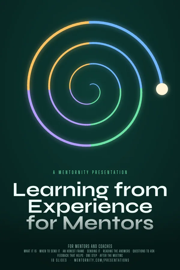 Film-style poster for the Learning from Experience for Mentors presentation